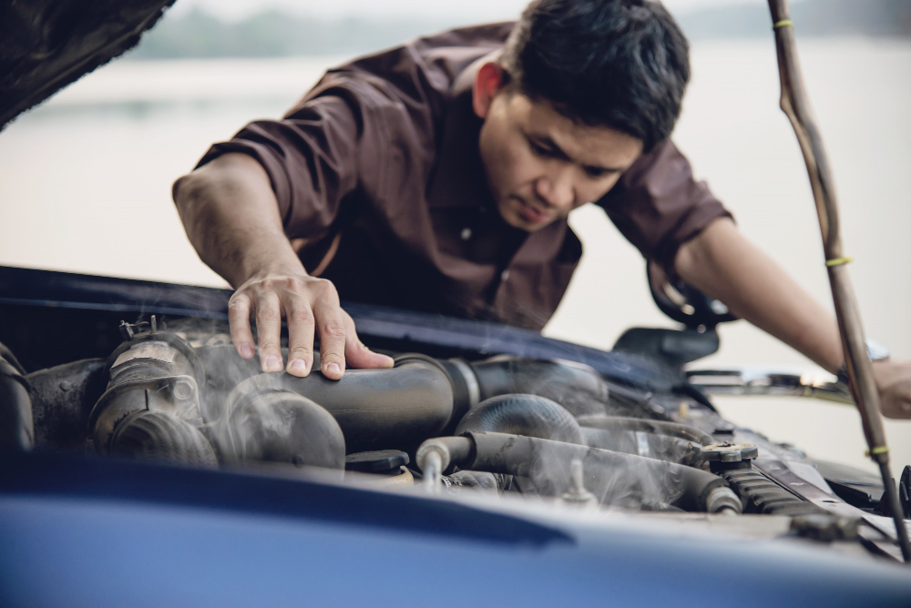 Keep Your Engine Bay Clean, Fresh, and Well-Maintained