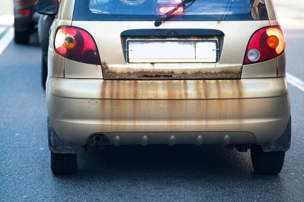Dried bugs on the front bumper