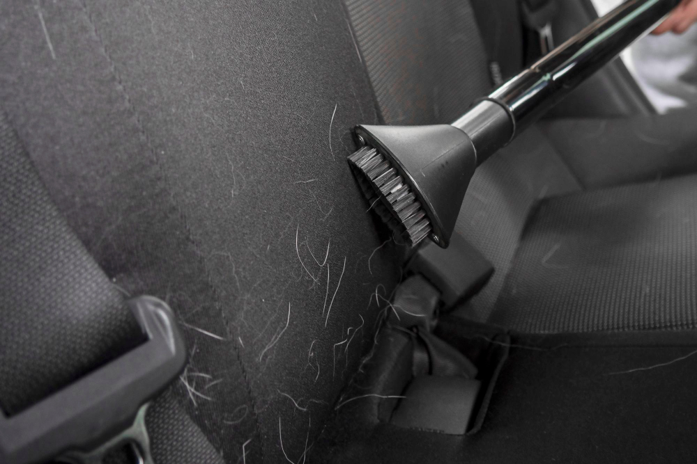 Vehicle Carpet Cleaning Services