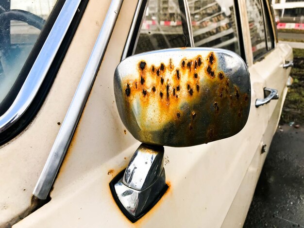bug splatter on car bumper