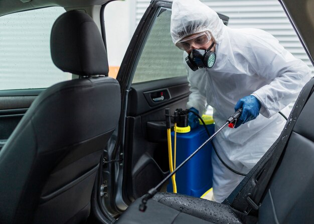 car bug removal detailing